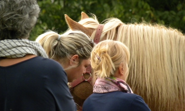 psicologia con il cavallo per donne operate al seno